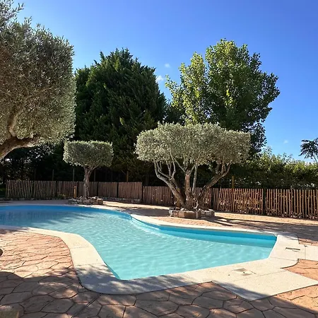 Campsite Taiga Caspe