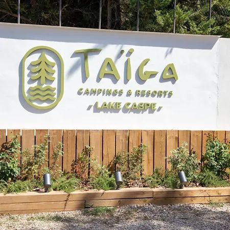 Taiga Caspe