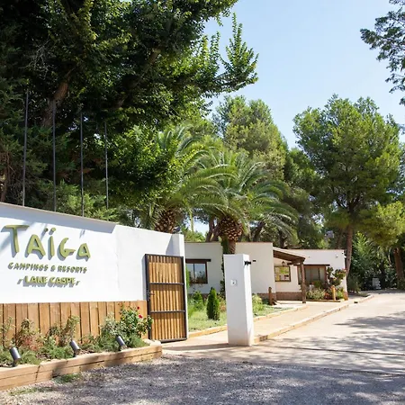 Taiga * Caspe