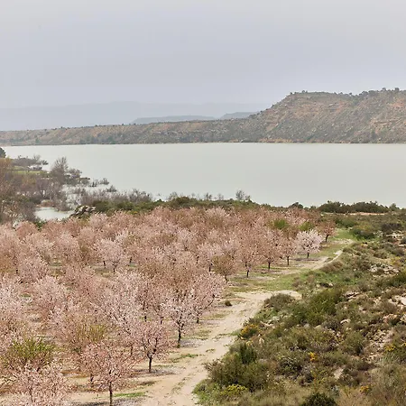 Taiga Campsite